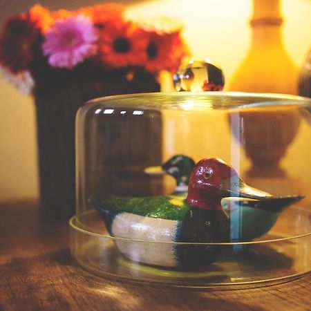 Flemish Cottage オーストカンプ エクステリア 写真