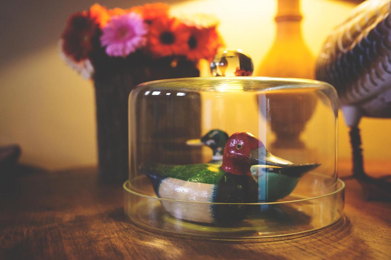 Flemish Cottage オーストカンプ エクステリア 写真