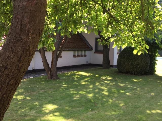 Flemish Cottage オーストカンプ エクステリア 写真