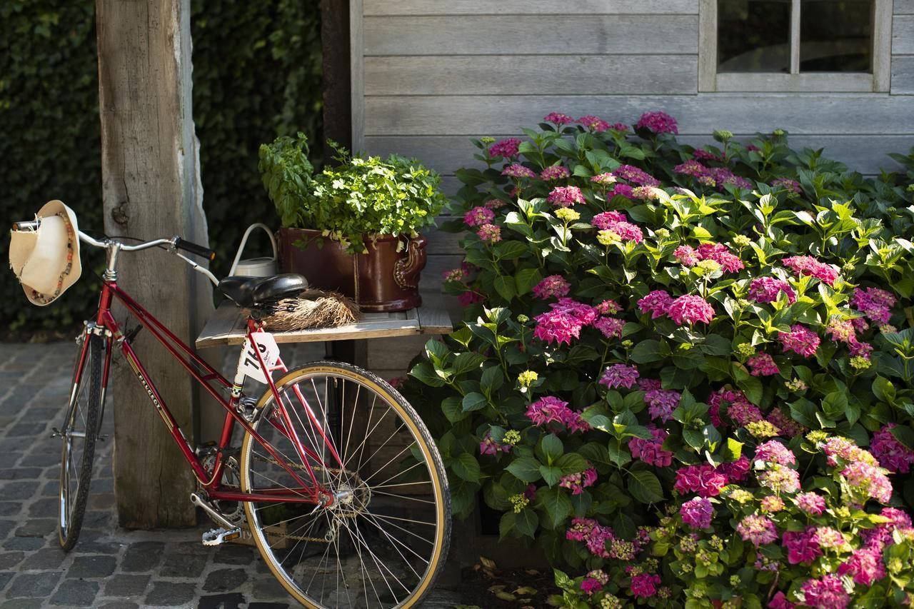 Flemish Cottage オーストカンプ エクステリア 写真